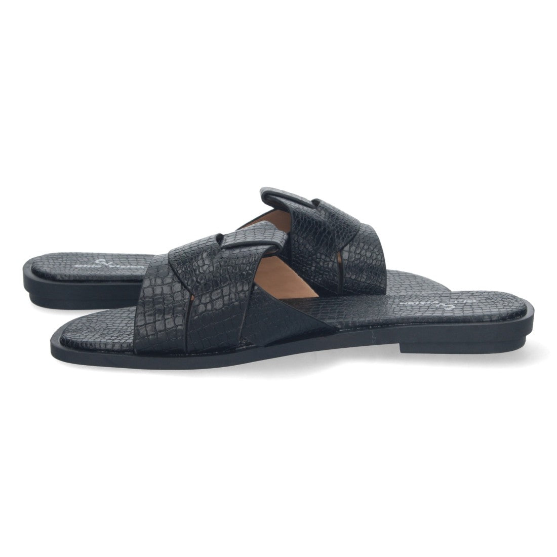 TF3106-Negre