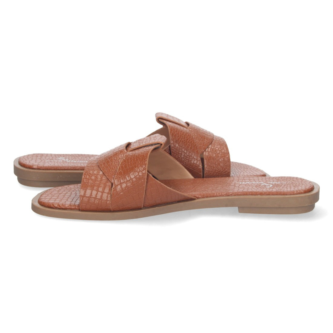 TF3106-Camell