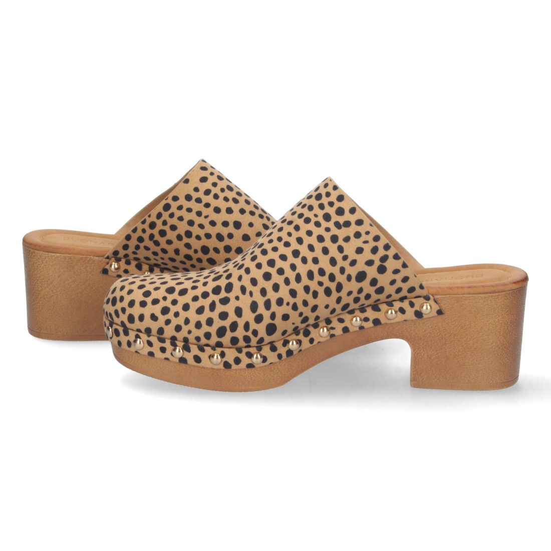 DB-2258-Lleopard
