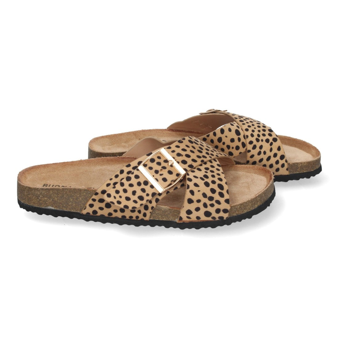 AY-2239-Lleopard