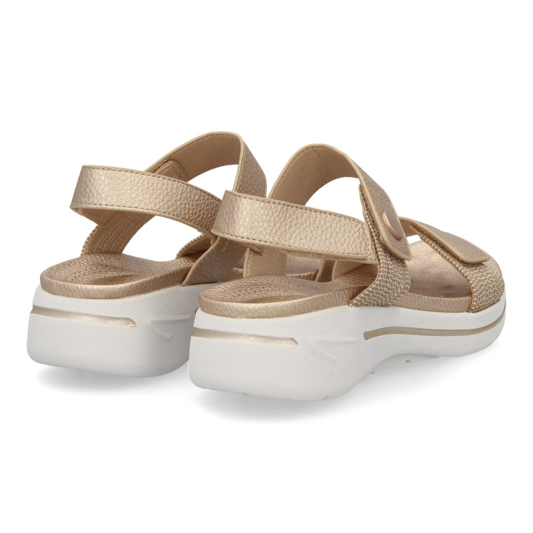HLS-0692-Xampany