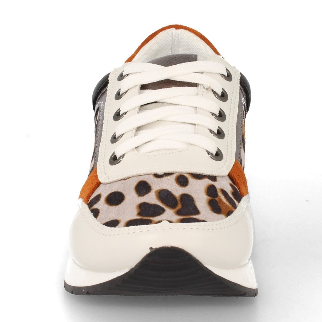 K1940004-Lleopard