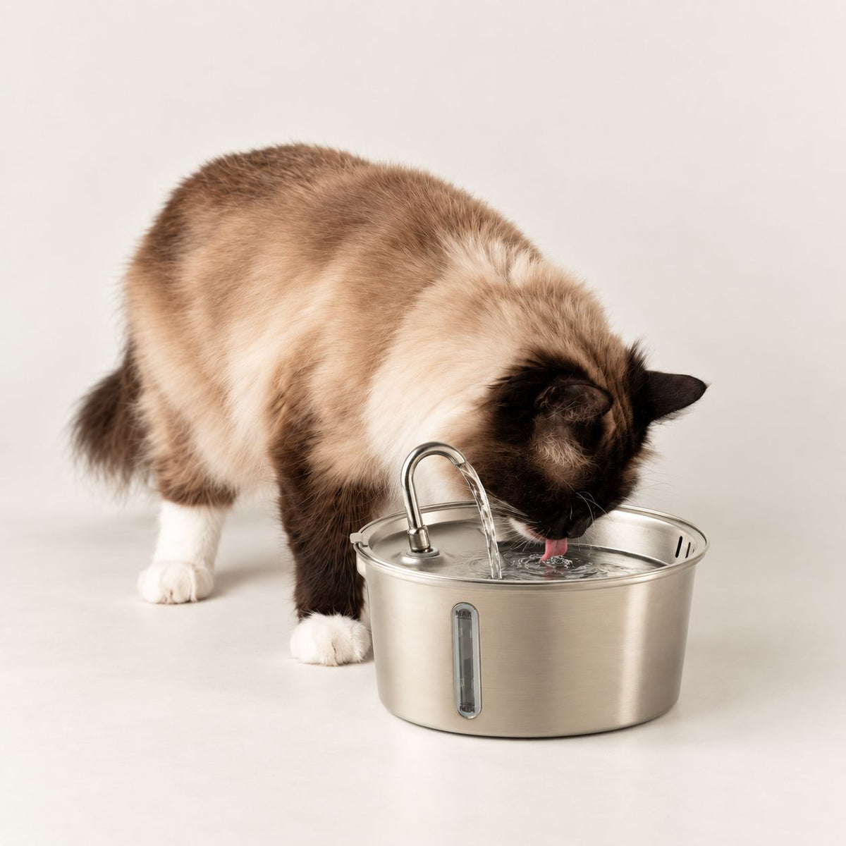 Fuente de agua eléctrica de 2.5 litros - USB - acero inoxidable para mascotas