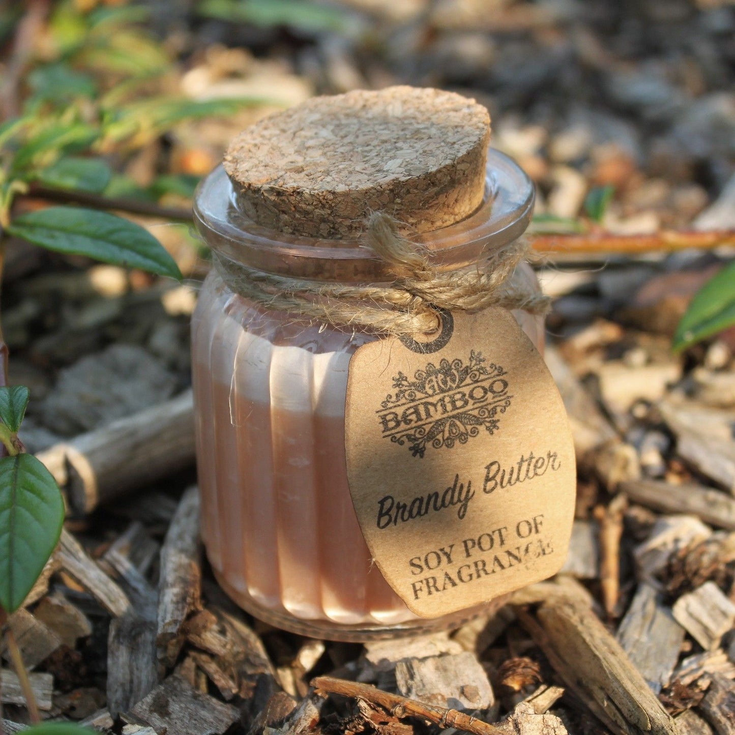 Espelma de Cera de Soia Pot - Mantega Brandy