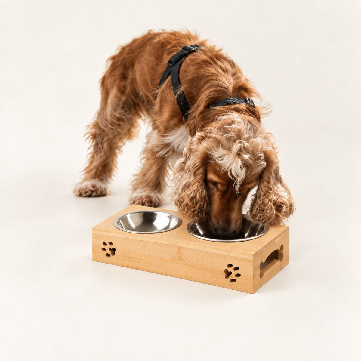 Cuencos dobles de acero inoxidable en soporte de madera para mascotas