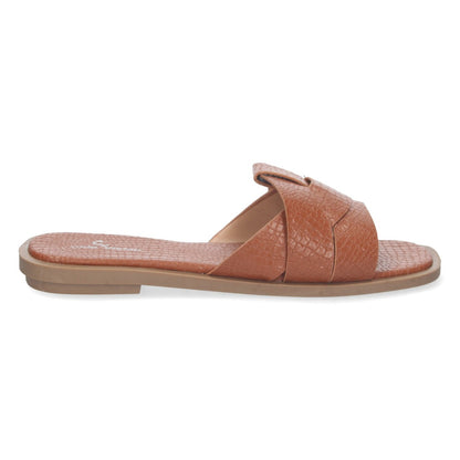 TF3106-Camell
