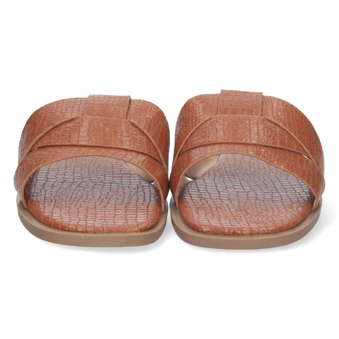 TF3106-Camell