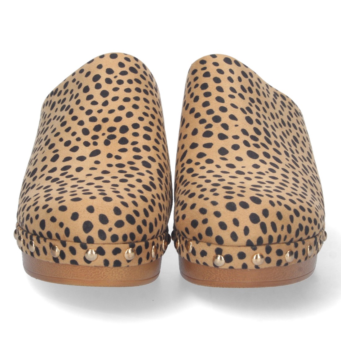 DB-2258-Lleopard