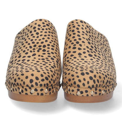 DB-2258-Lleopard