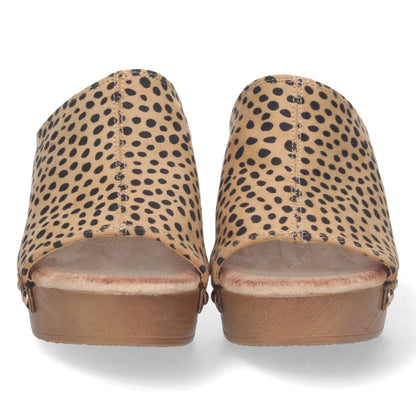 DB-2355-Lleopard