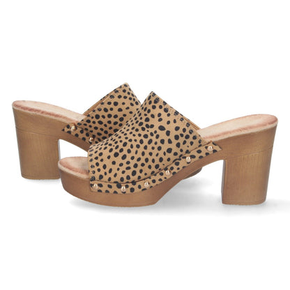 DB-2355-Lleopard