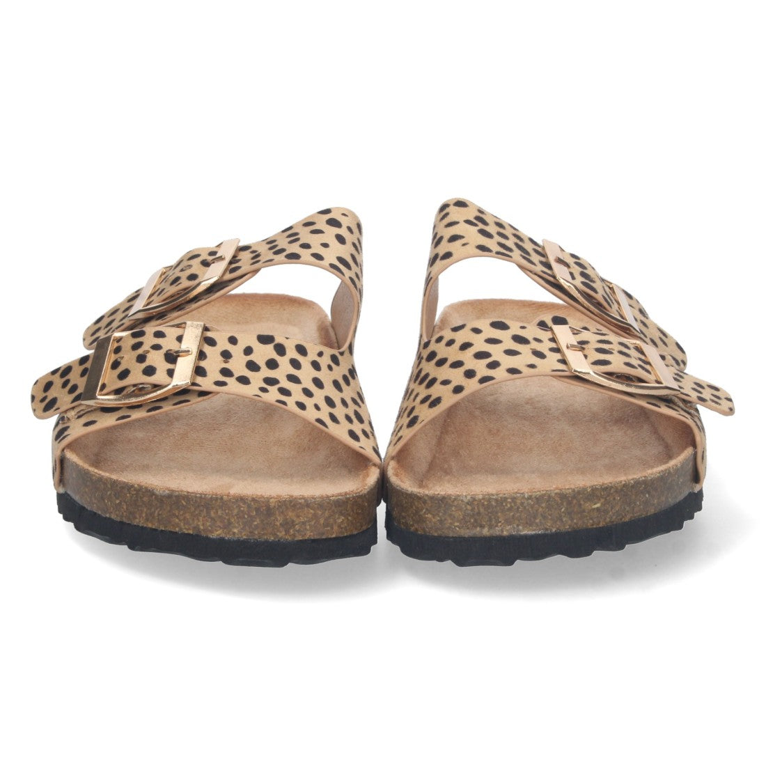 1AY-1056-Lleopard