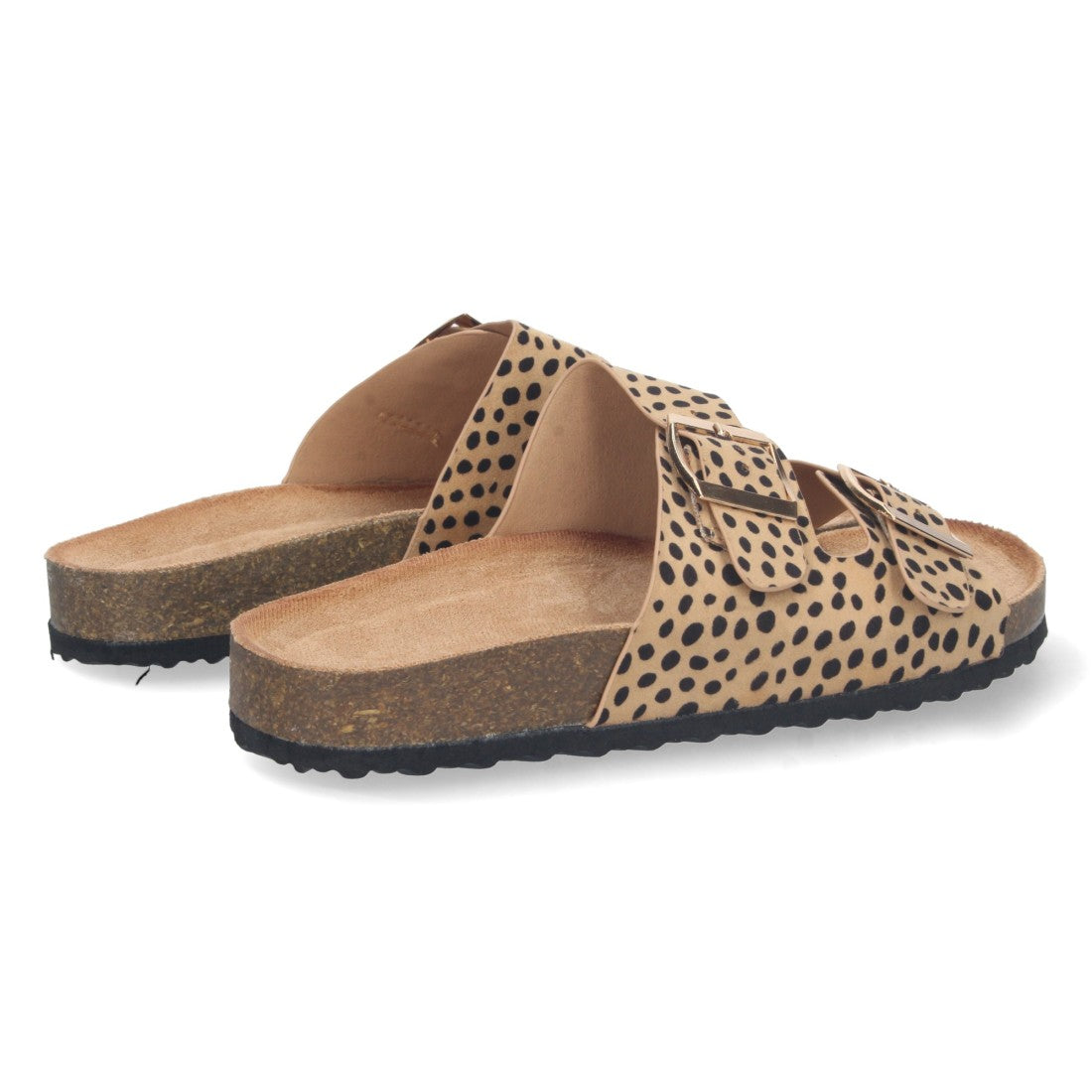 1AY-1056-Lleopard