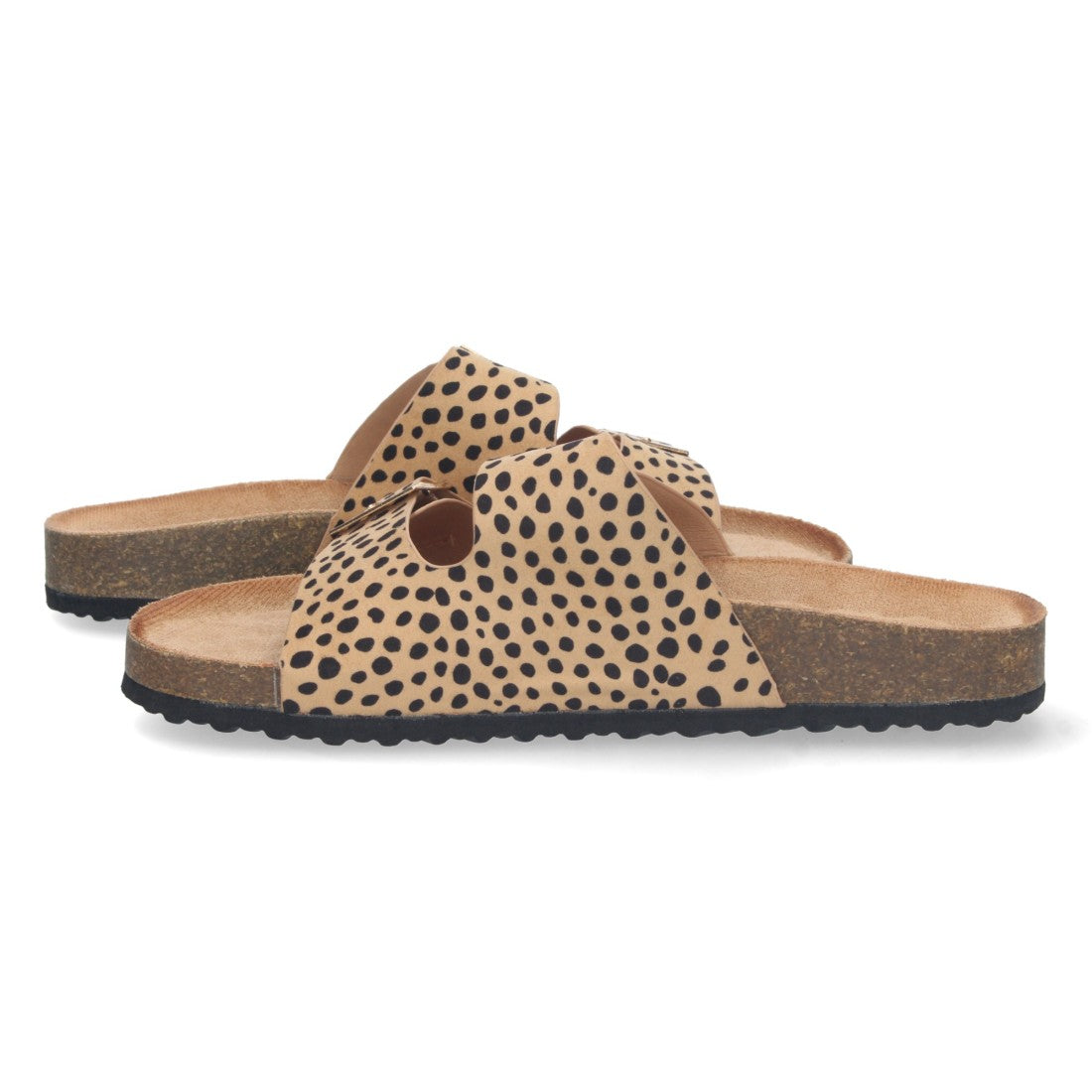 1AY-1056-Lleopard