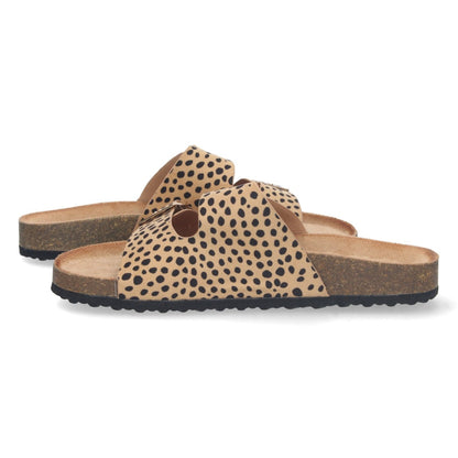 1AY-1056-Lleopard