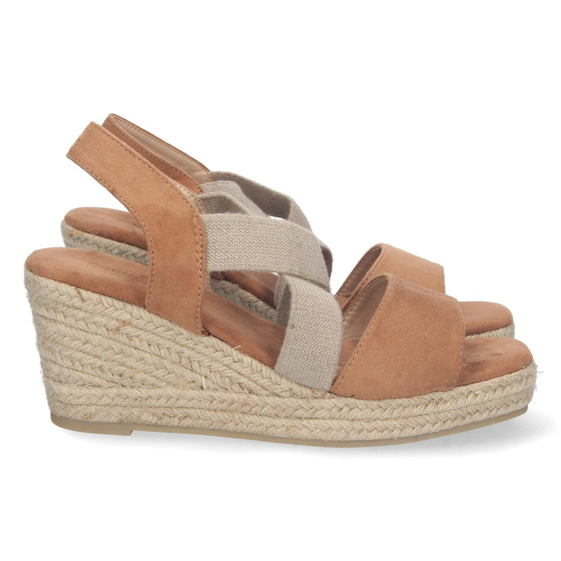 A-2376-Camell