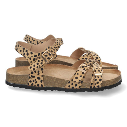 AY-2240-Lleopard