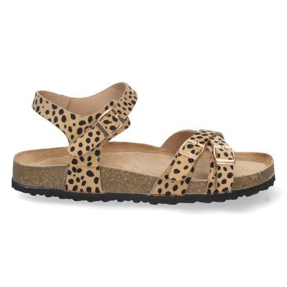 AY-2240-Lleopard