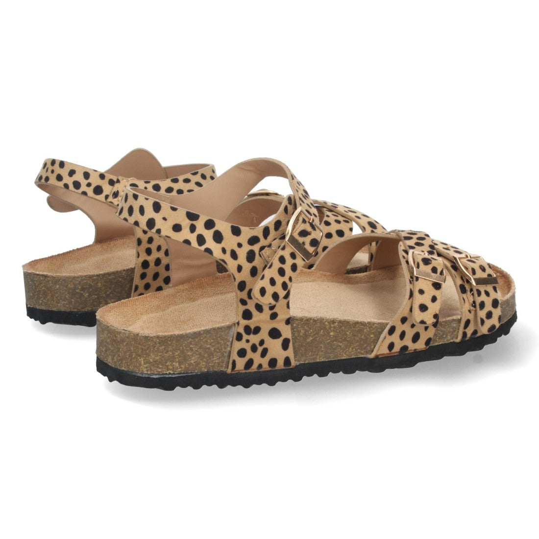 AY-2240-Lleopard