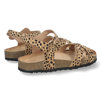 AY-2240-Lleopard