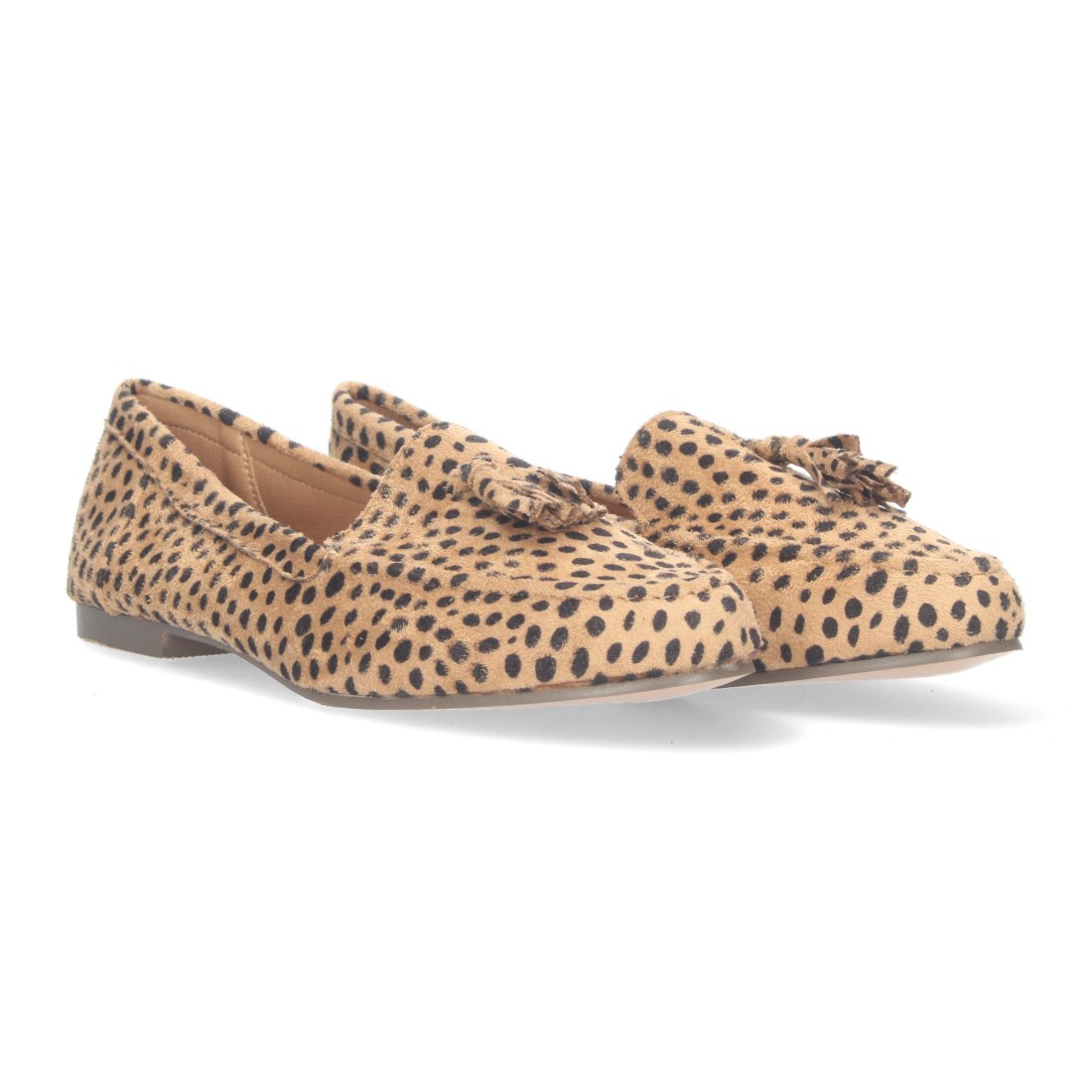 1AS-0170-Lleopard