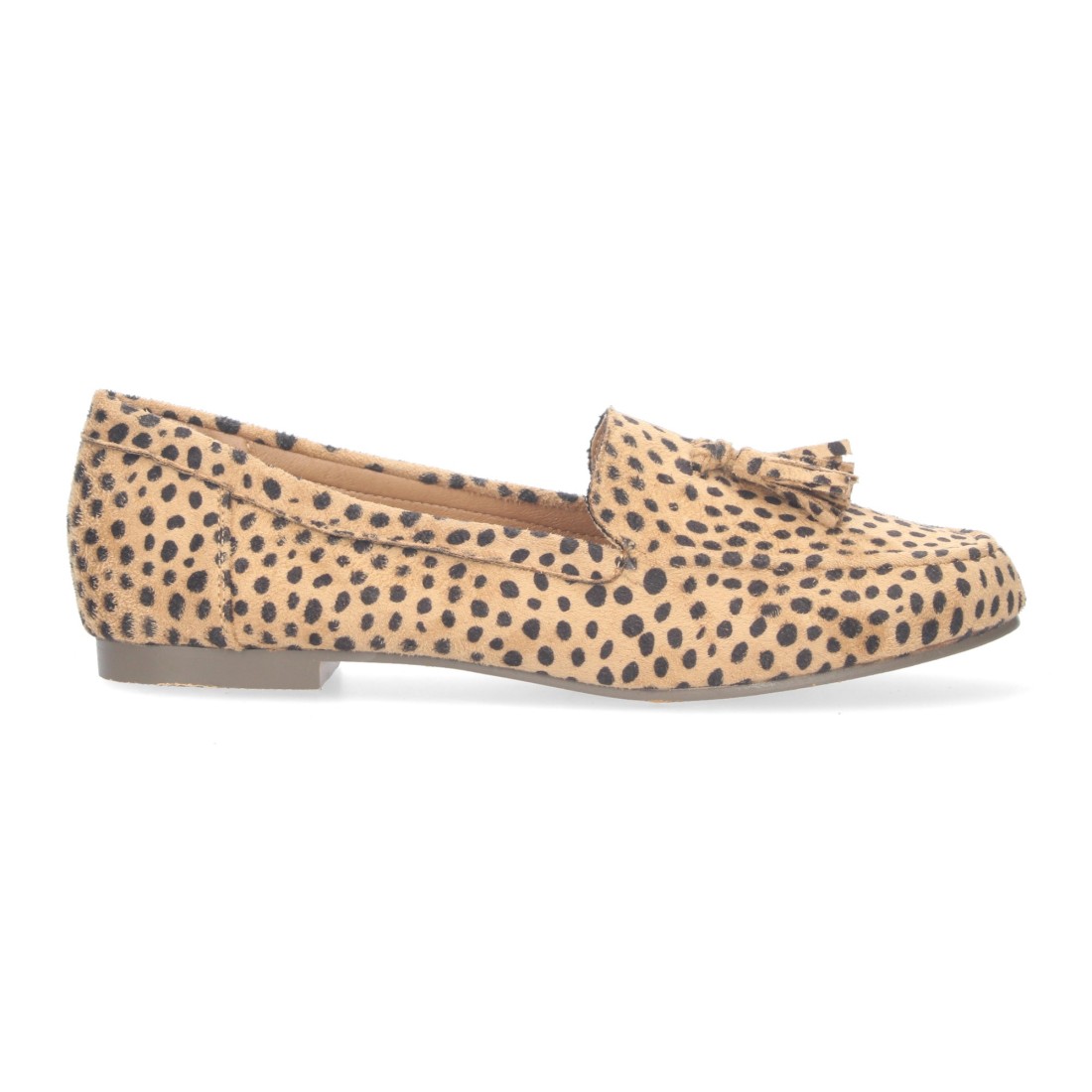 1AS-0170-Lleopard