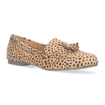1AS-0170-Lleopard