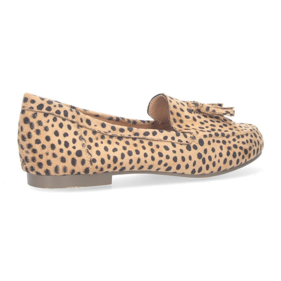 1AS-0170-Lleopard