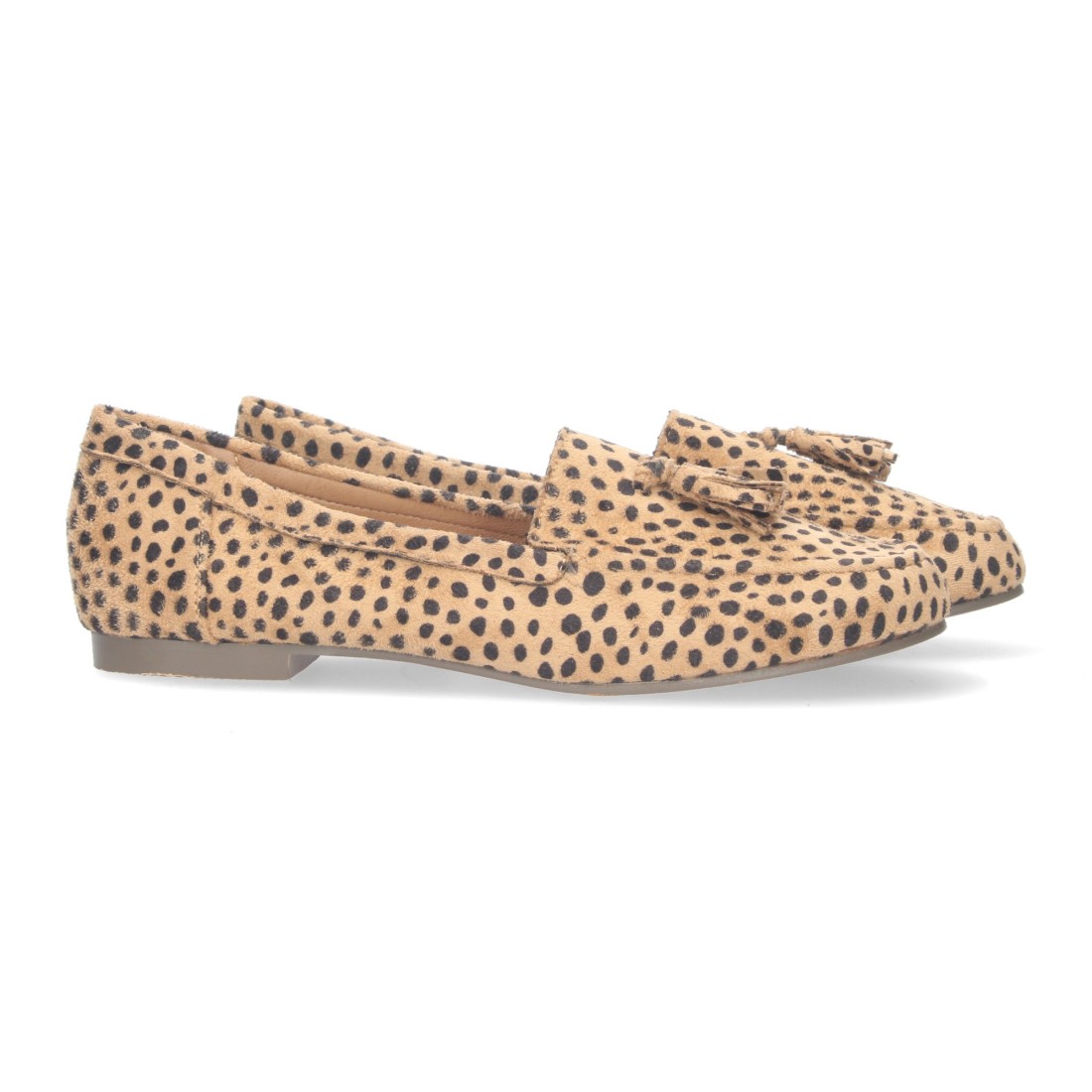 1AS-0170-Lleopard