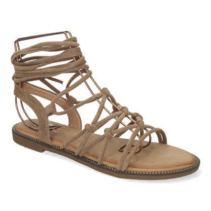 TF3107-Caqui