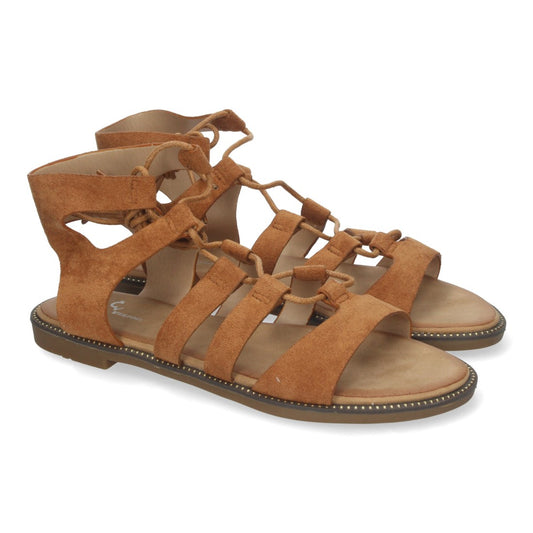 TF3110-Camell