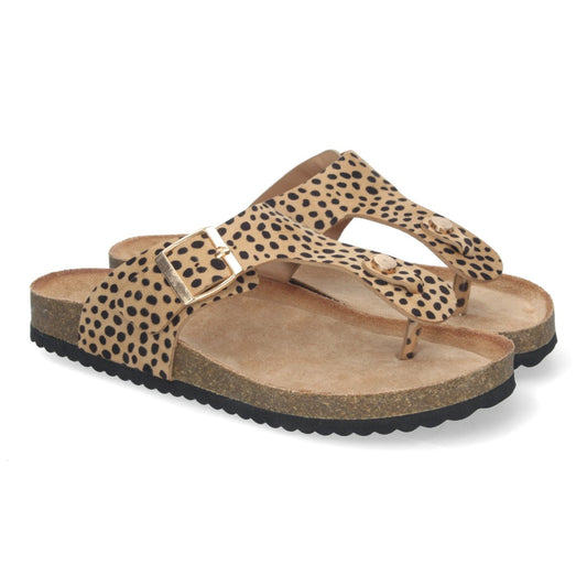 1A-1618-Lleopard
