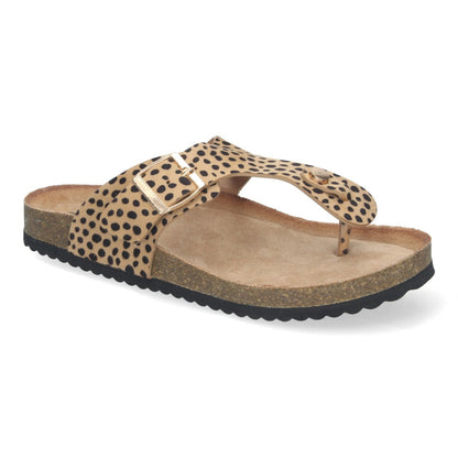 1A-1618-Lleopard