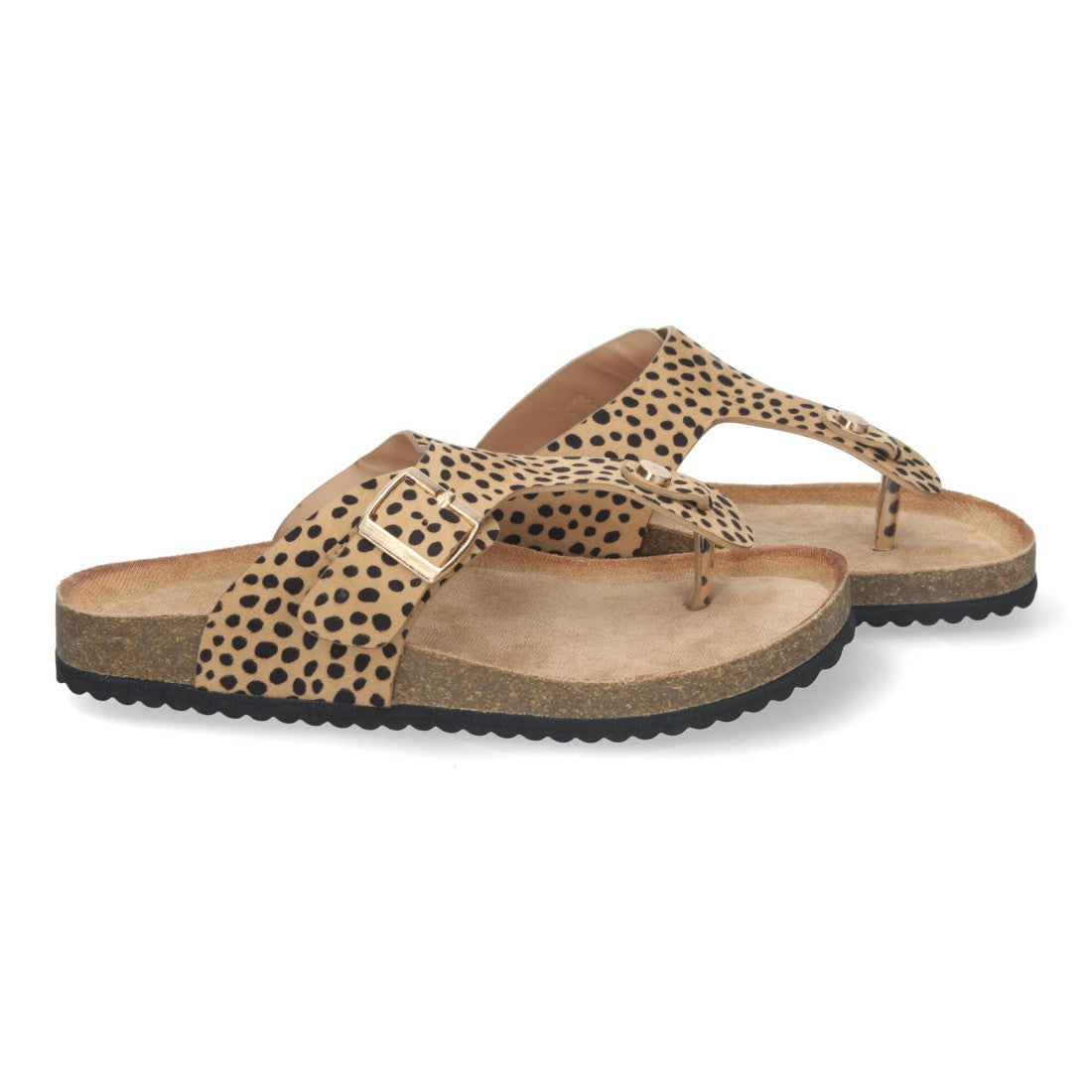 1A-1618-Lleopard