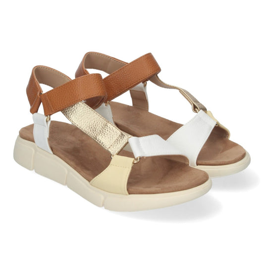 AD-3269-Or