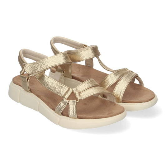 AD-3261-Or