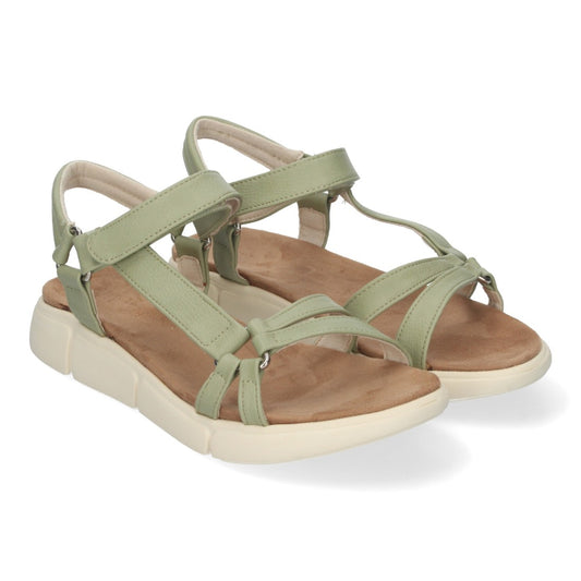 AD-3261-Verd
