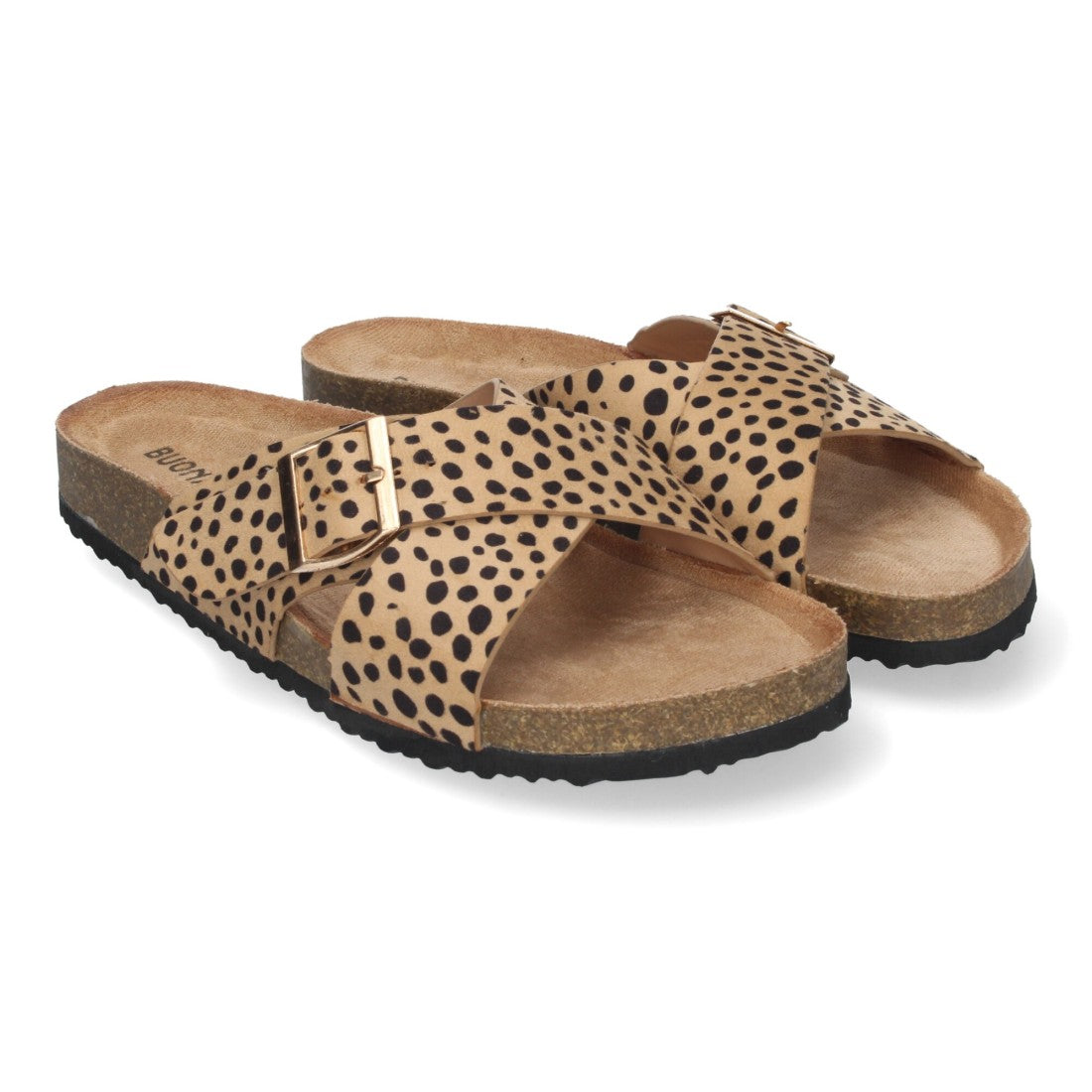 AY-2239-Lleopard