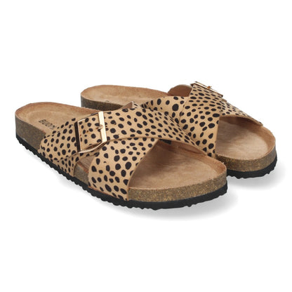 AY-2239-Lleopard