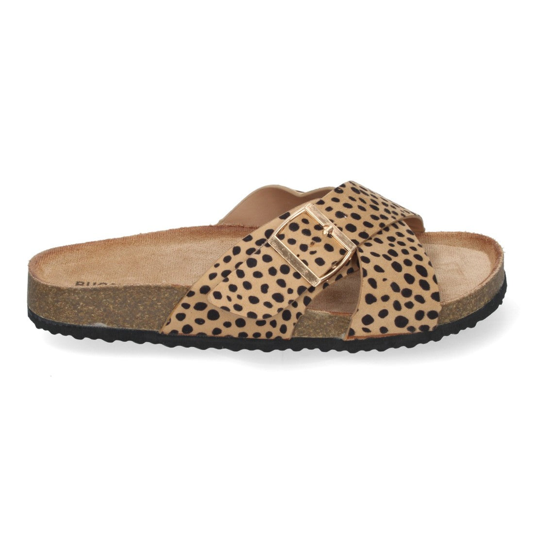 AY-2239-Lleopard