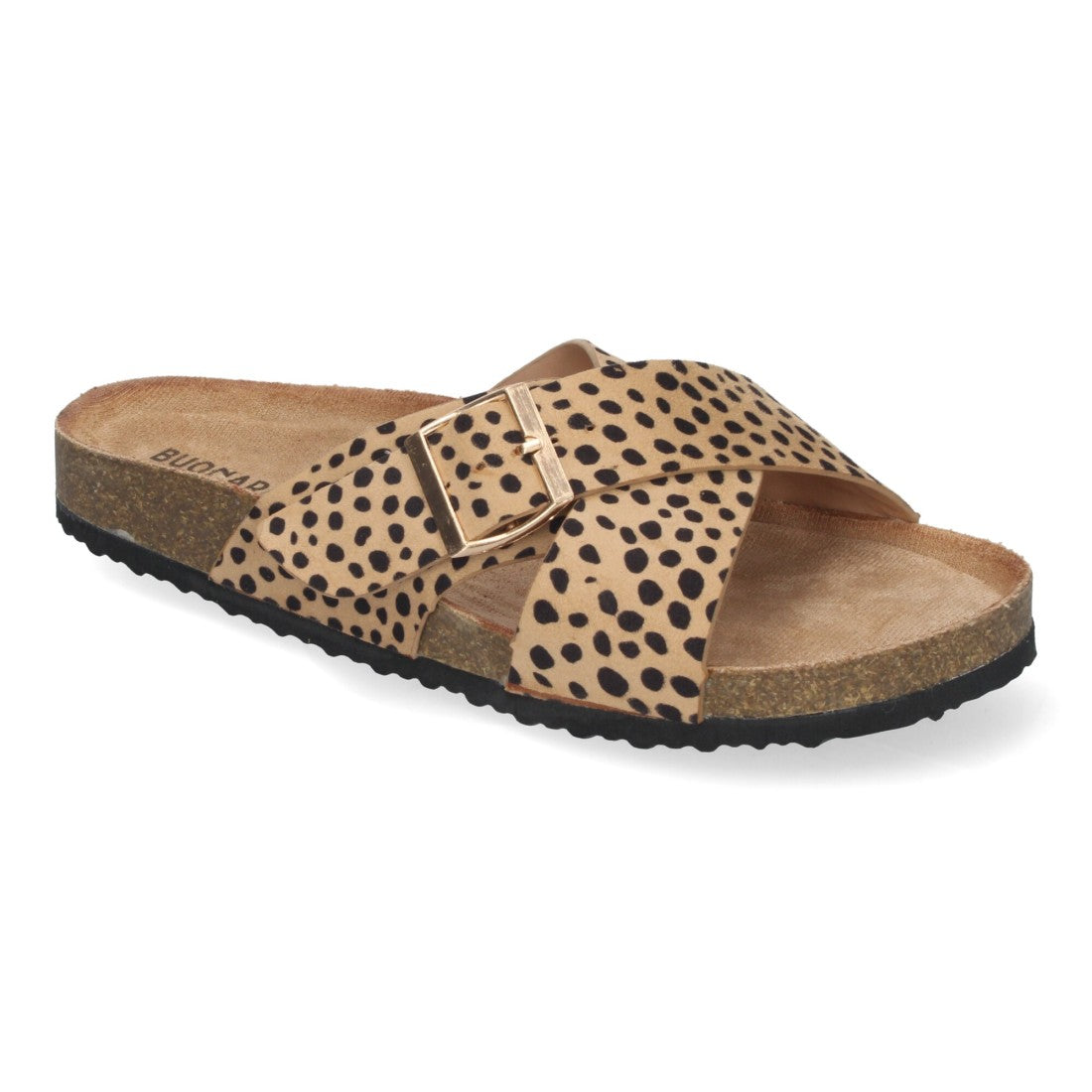 AY-2239-Lleopard