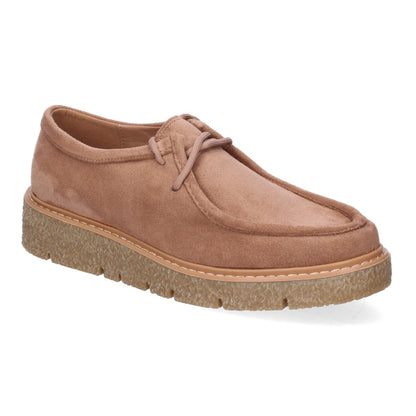 YZ24-039-Caqui