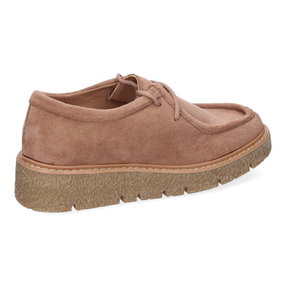 YZ24-039-Caqui