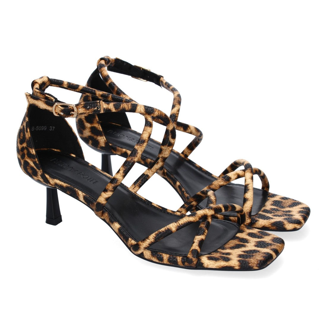 B-5099-Lleopard