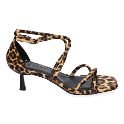 B-5099-Lleopard