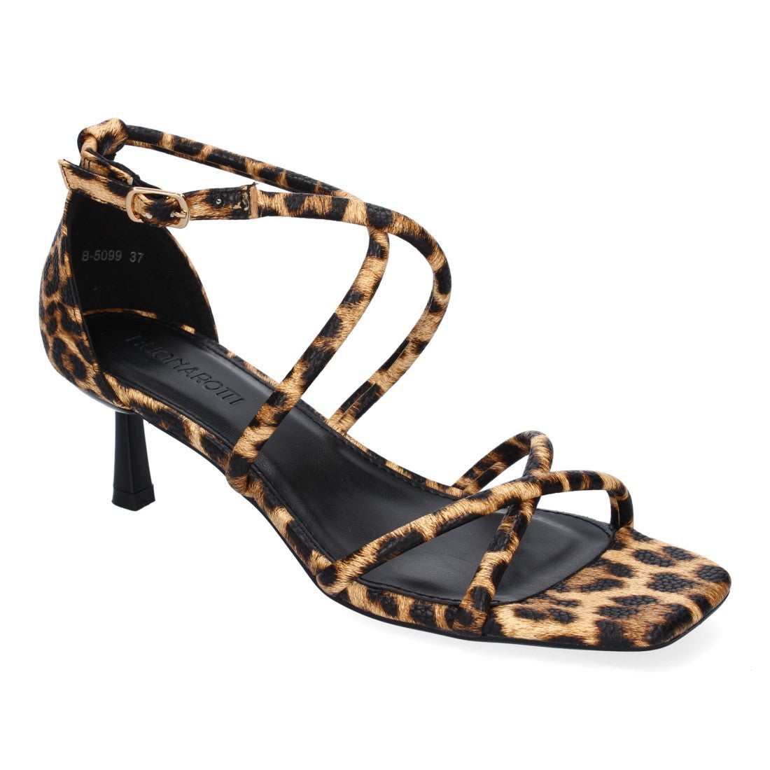 B-5099-Lleopard