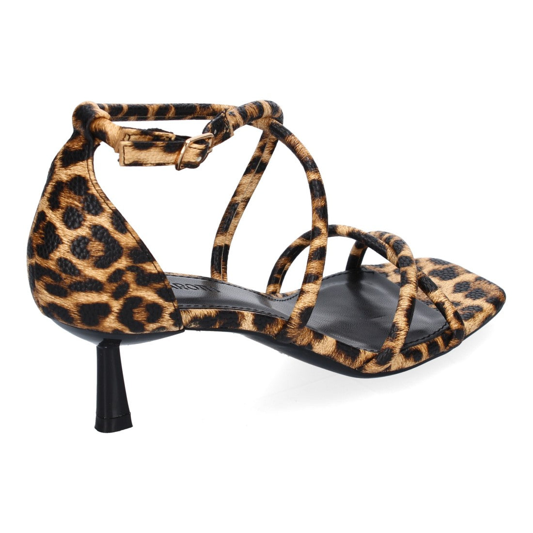 B-5099-Lleopard