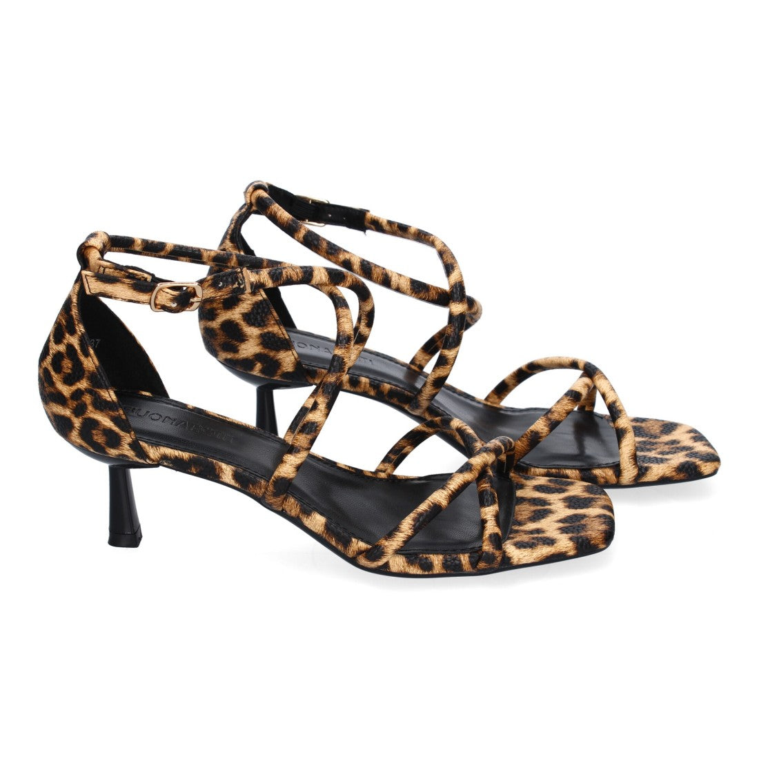 B-5099-Lleopard