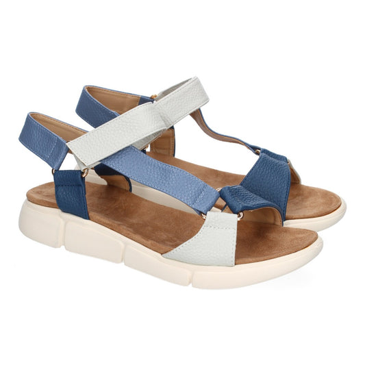AD-3269-Blau