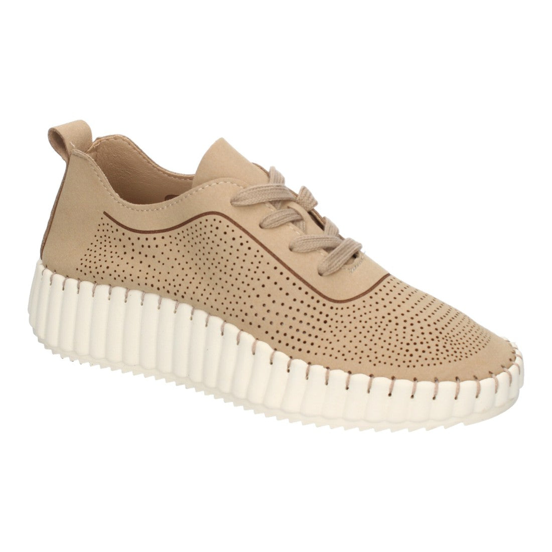AD-5082-Albercoc